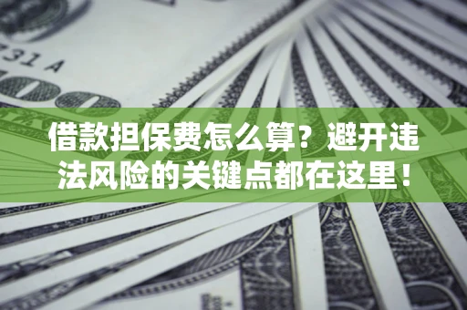 济南借款担保费怎么算？避开违法风险的关键点都在这里！