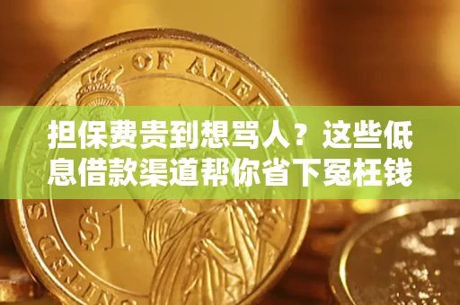济南担保费贵到想骂人？这些低息借款渠道帮你省下冤枉钱