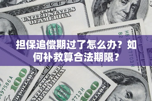 济南担保追偿期过了怎么办？如何补救算合法期限？