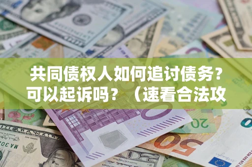 济南共同债权人如何追讨债务？可以起诉吗？（速看合法攻略）